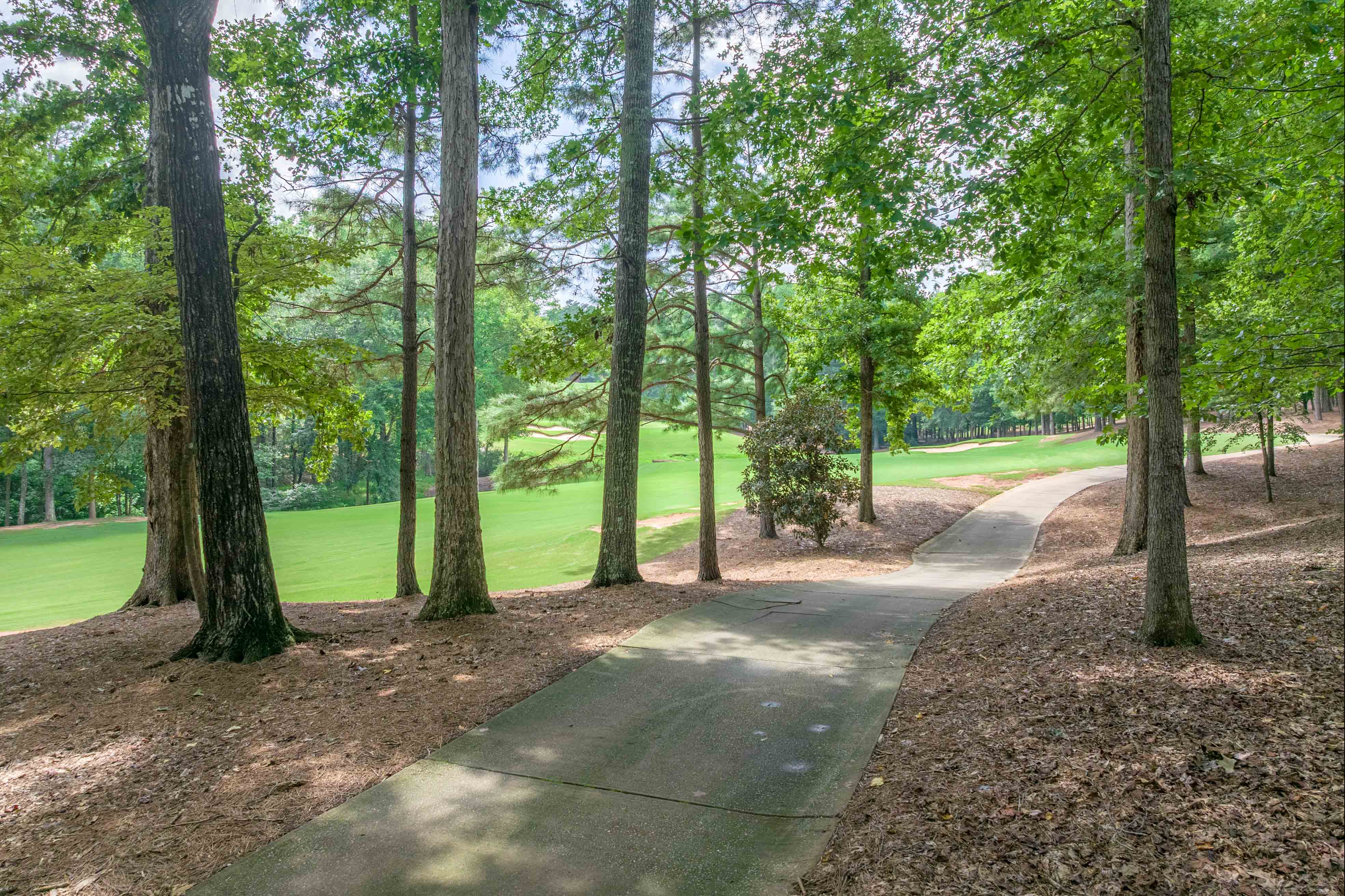 1321 Jackson Ridge Road image 61